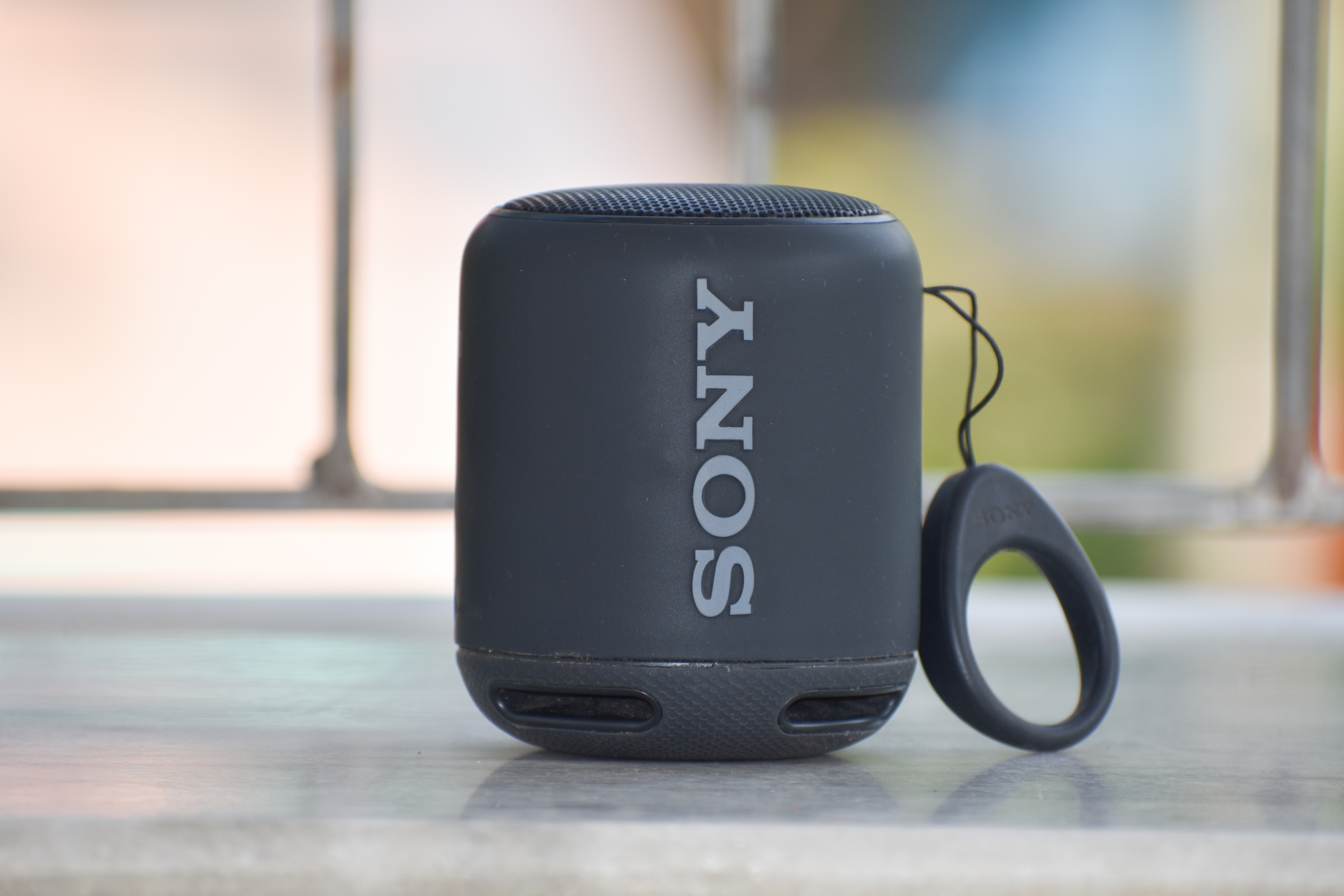 Sony SRS-XB100 speaker